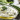 Tzatziki